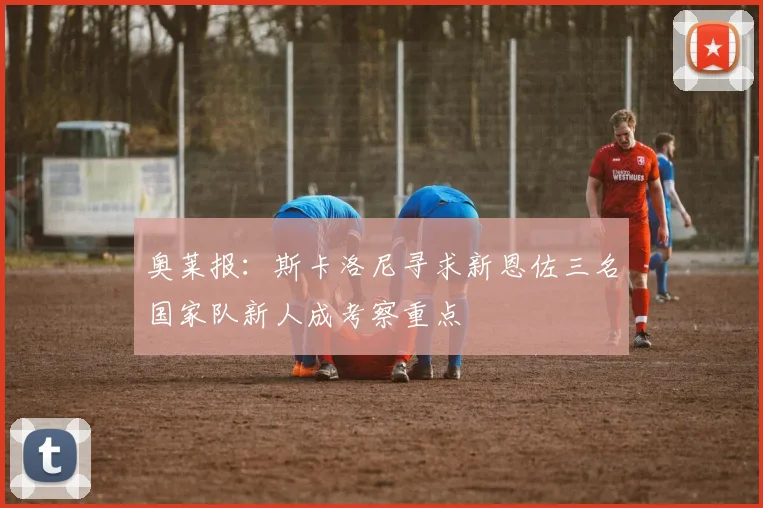 奥莱报：斯卡洛尼寻求新恩佐三名国家队新人成考察重点