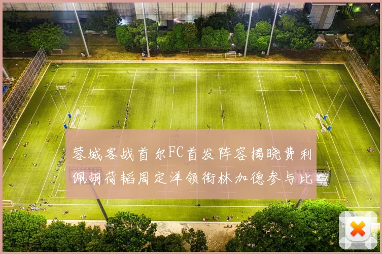 蓉城客战首尔FC首发阵容揭晓费利佩胡荷韬周定洋领衔林加德参与比赛