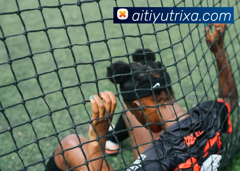 爱体育平台生态图